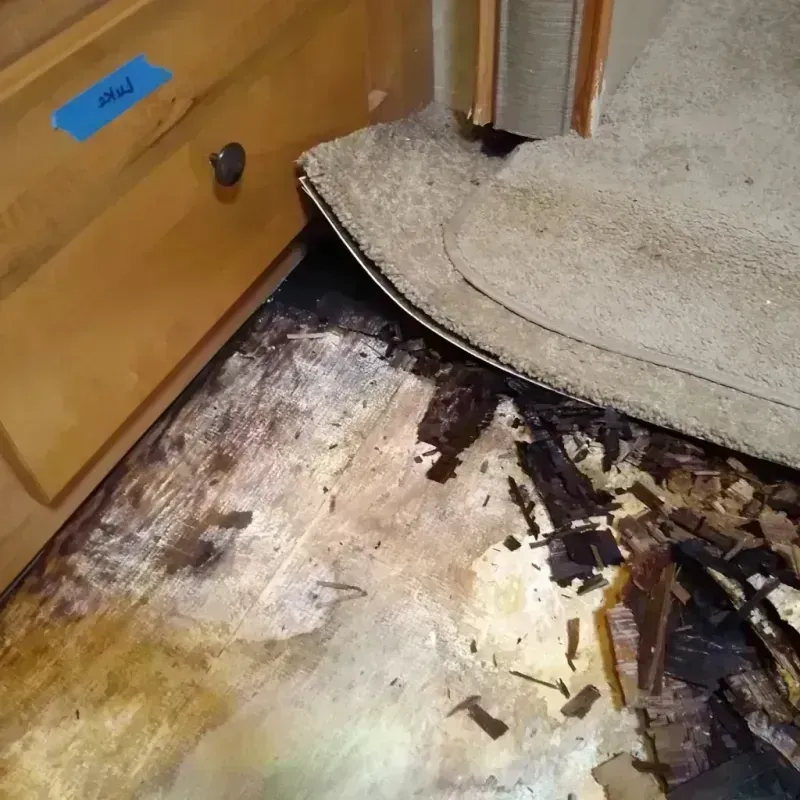 Wood Floor Water Damage in Shelby County, TN